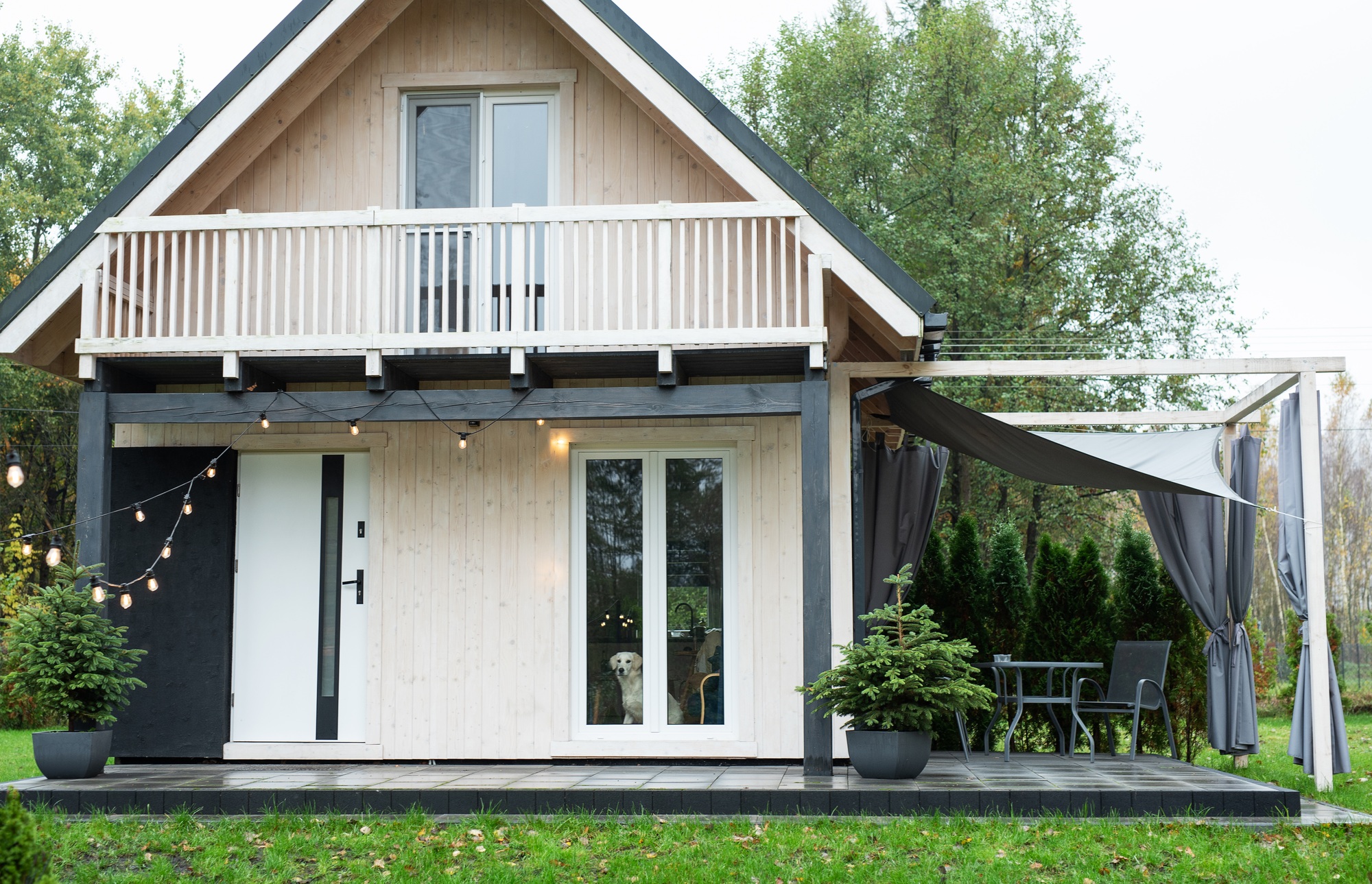 Tiny modern wooden house